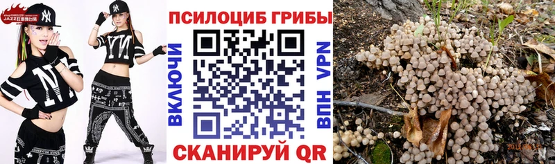 Псилоцибиновые грибы Cubensis  продажа наркотиков  Кяхта 